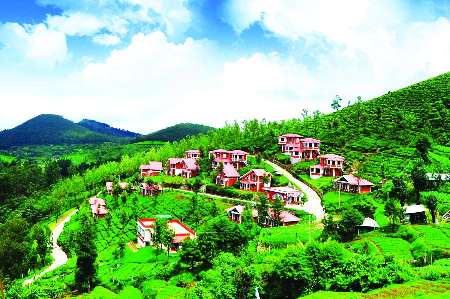 https://d3r8gwkgo0io6y.cloudfront.net/upload/beautiful-ooty green view.jpg